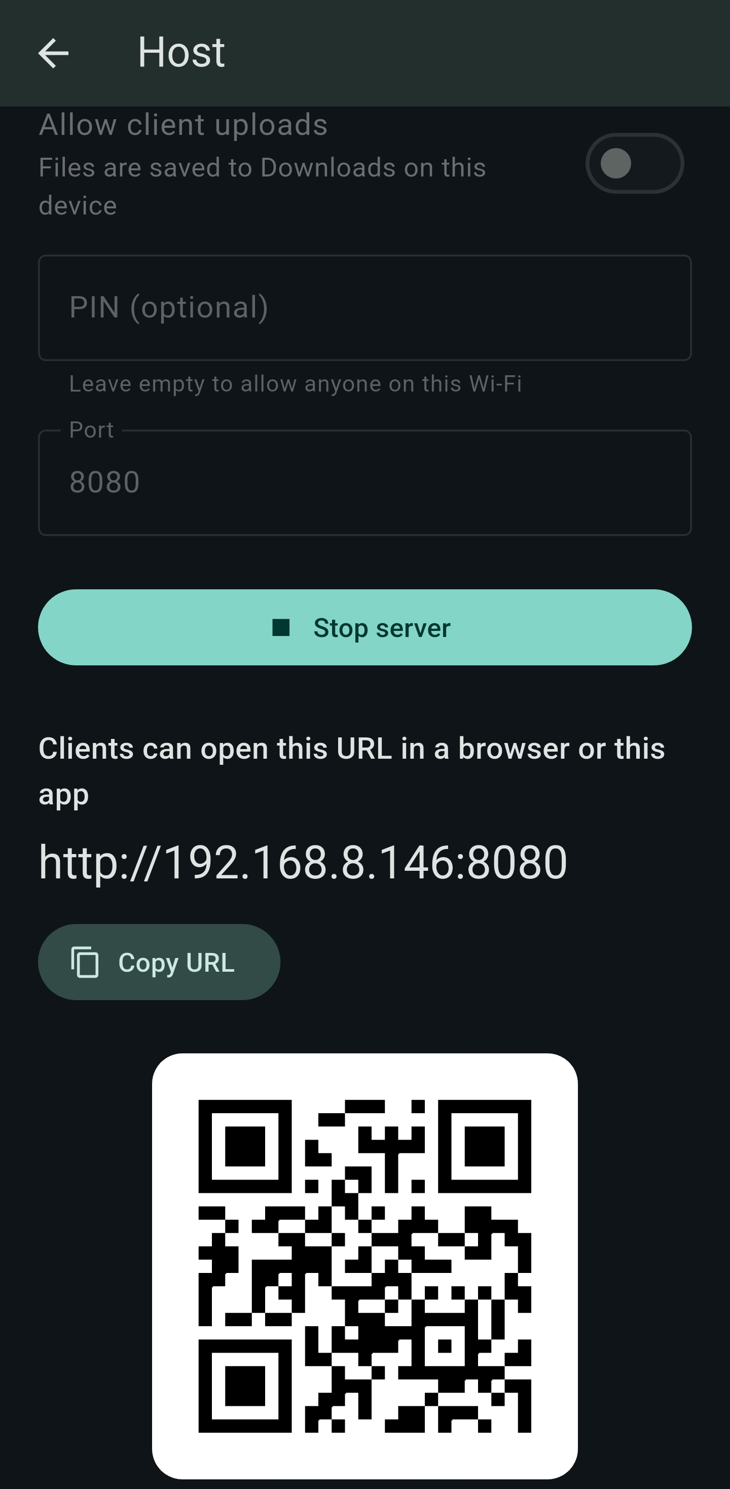 Host running with a local URL and QR code